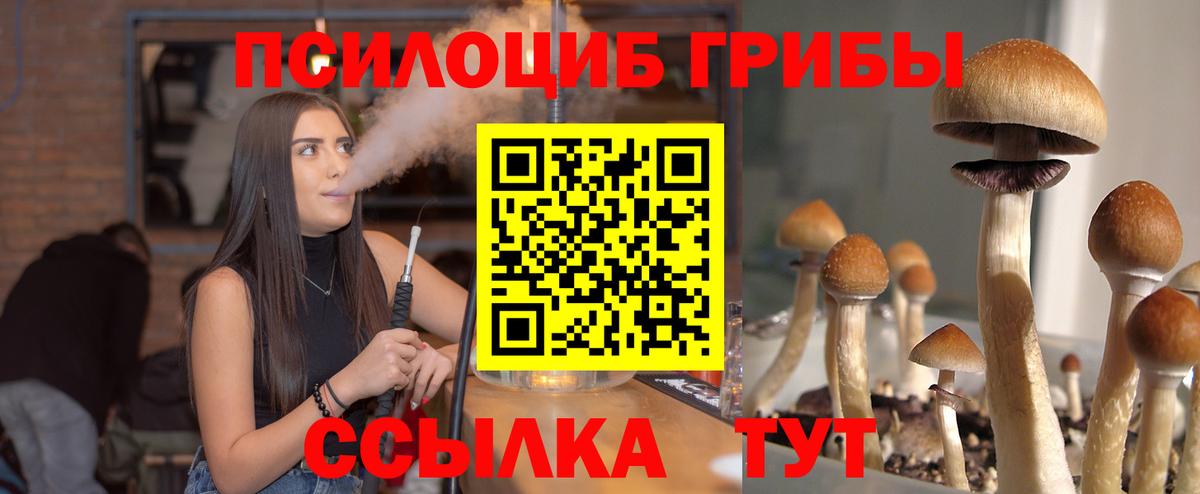 Галлюциногенные грибы MAGIC MUSHROOMS Вятские Поляны