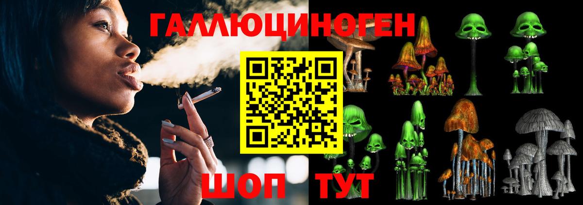 Вятские Поляны  Псилоцибиновые грибы Magic Shrooms  Вход с VPN  Галлюциногенные грибы прущие грибы 