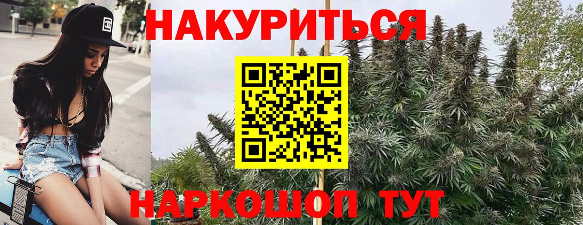 Каннабис White Widow Вятские Поляны